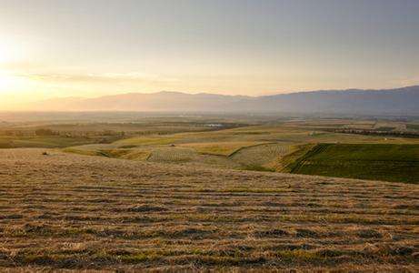 土壤水分速測儀提升田間灌溉質(zhì)量